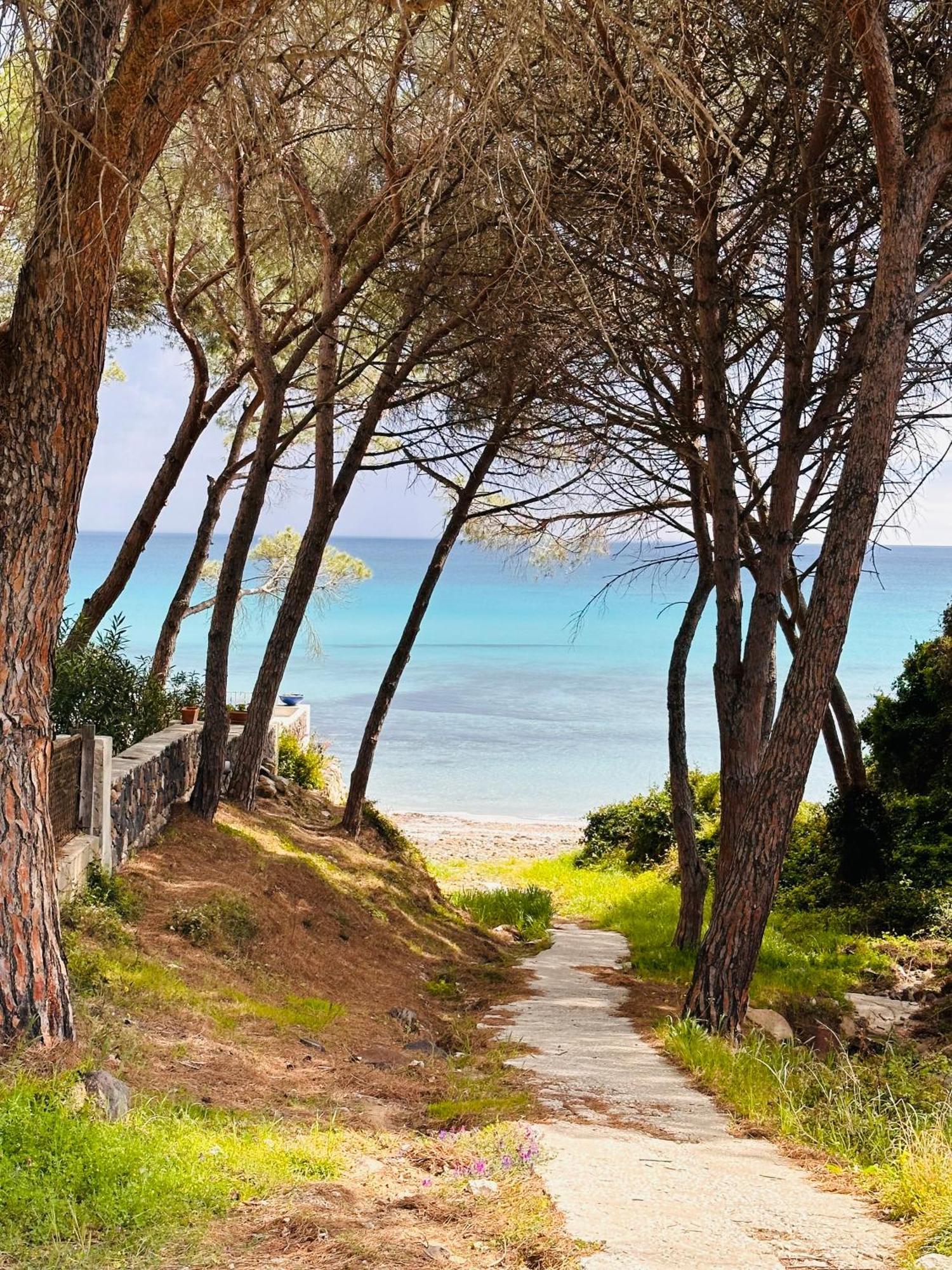 Il Giardino Davanti Al Mare Orosei Ngoại thất bức ảnh