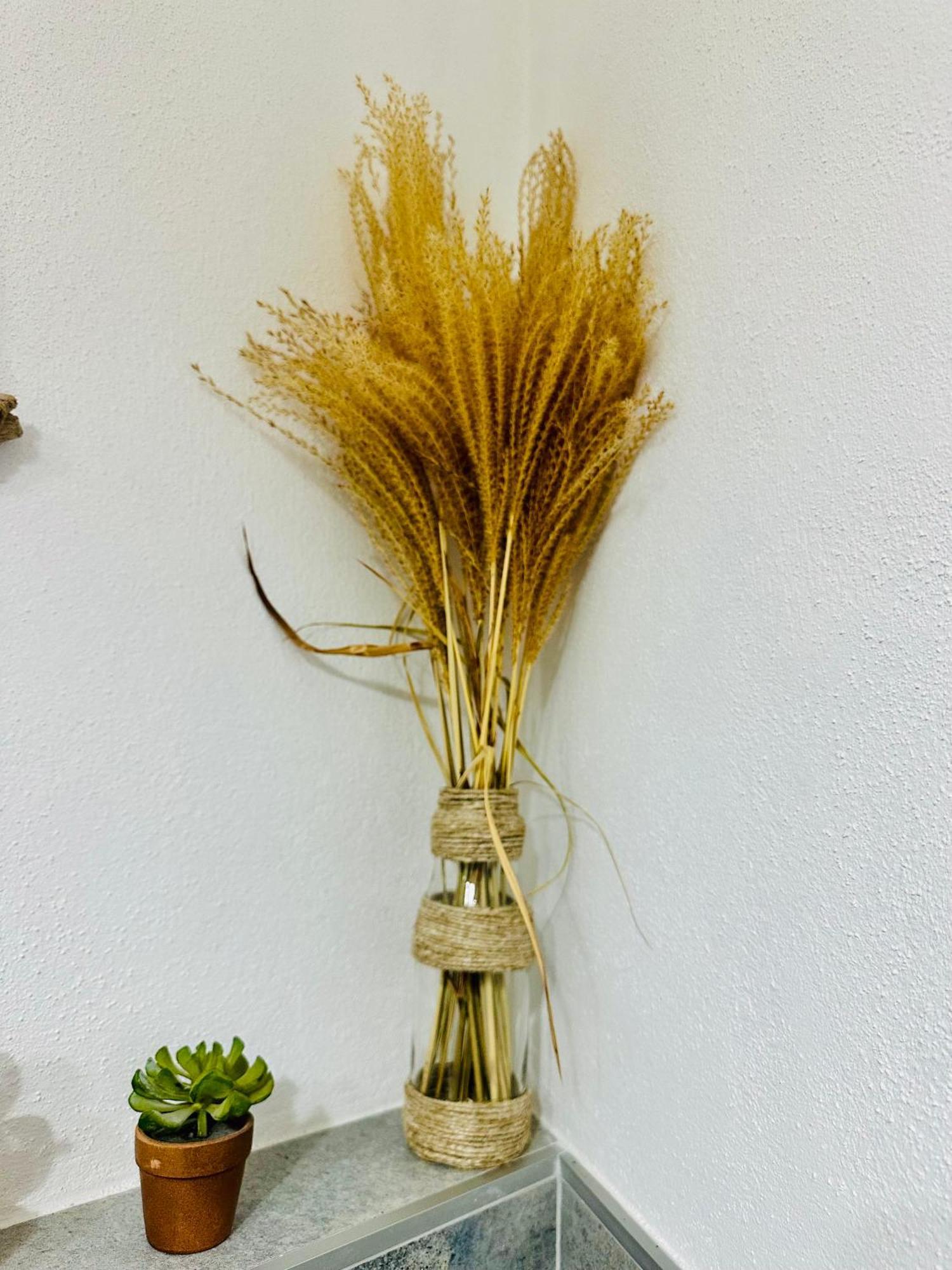 Il Giardino Davanti Al Mare Orosei Ngoại thất bức ảnh