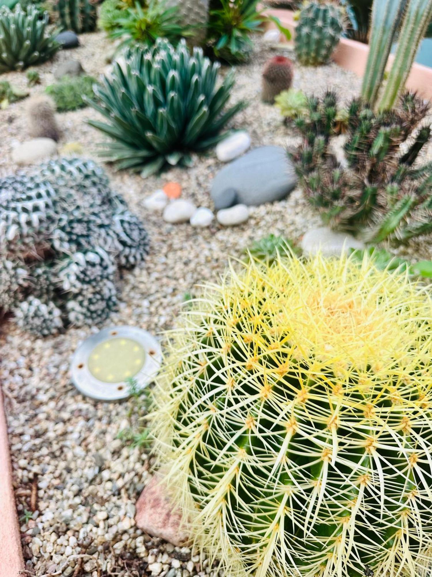 Il Giardino Davanti Al Mare Orosei Ngoại thất bức ảnh